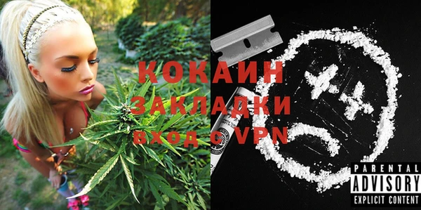 крисы Аркадак