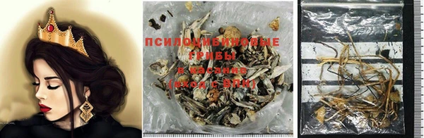 крисы Аркадак