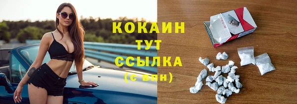 крисы Аркадак