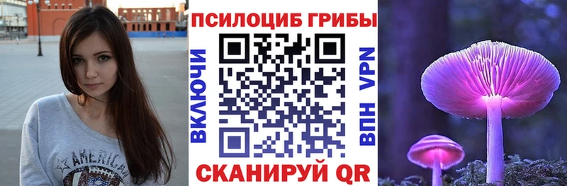 где купить   Советская Гавань  Галлюциногенные грибы MAGIC MUSHROOMS 